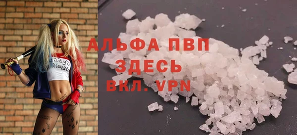 СК Зеленодольск