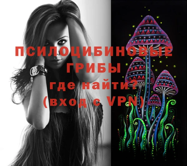 СК Зеленодольск