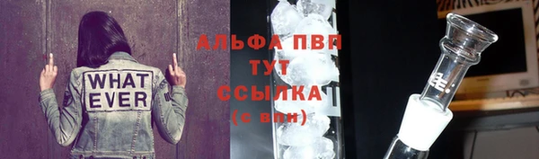 СК Зеленодольск