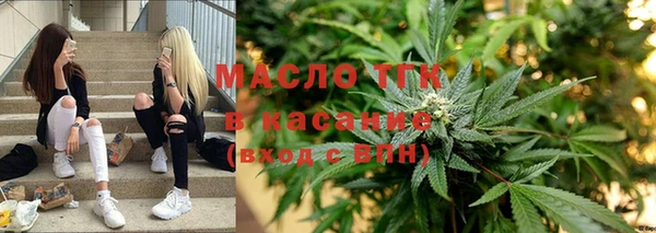 крисы Щигры
