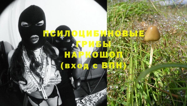mdma Зеленокумск