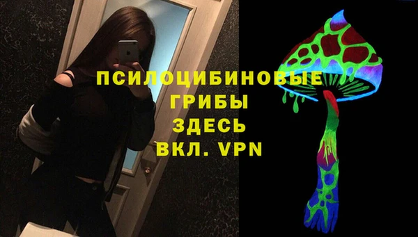 СК Зеленодольск